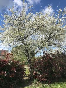 Zahrada ubytování Maison de campagne