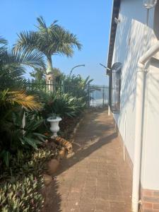 a pathway with a palm tree and a building at Seaview Unit 1 in Port Shepstone +4 photos
