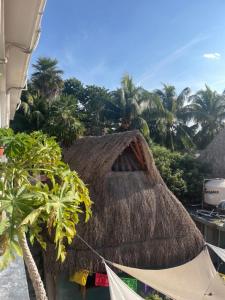 Fotografie z fotogalerie ubytování Barco Verde Hostel v destinaci Ostrov Holbox