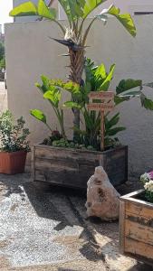 Fotografie z fotogalerie ubytování "Minerva" da Sabrina v destinaci Città Giardino