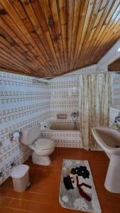 y baño con aseo, lavabo y bañera. en Misty Mountain Manor en Arachova