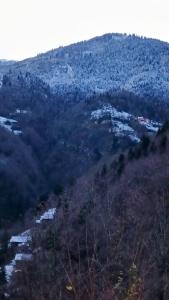 uma vista para uma montanha com árvores e edifícios em DEĞİRMEN KÖY EVLERİ em Çamlıhemşin