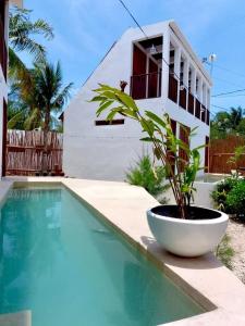 une villa avec une piscine en face d'une maison dans l'établissement Bungalow Unico En Holbox Con Alberca Privada, En Una Propiedad Que Solo Tiene 3 unidades. B1, à Holbox