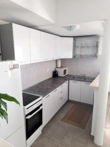 Kuchyň nebo kuchyňský kout v ubytování Apartment Ines
