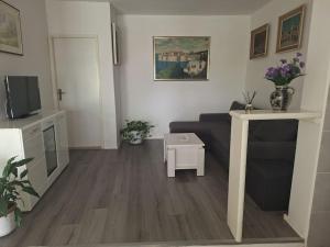 TV a/nebo společenská místnost v ubytování Apartment Ines
