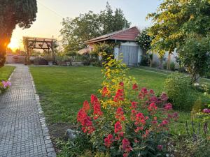 einen Garten mit roten Blumen und einem Ziegelweg in der Unterkunft Prvorepublikový dům se zahradou in Podivín