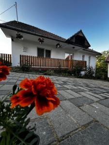 uma casa com uma flor à frente dela em Balázs Vendégház em Lupeni