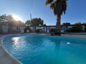 una gran piscina azul con una palmera en Bergerie provençale, en Les Lecques