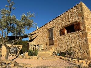 una casa de piedra con un árbol delante en Casa La Rabosa Maella Aragon, en Maella