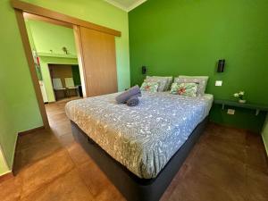 a bedroom with a bed with a green wall at DoAguaBoa in Coruche