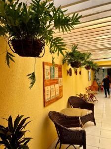 une table et des chaises avec des plantes en pot sur un mur dans l'établissement El Dorado Hotel Fortaleza, à Fortaleza