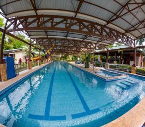 Bazén v ubytování Ávita Lodge nebo v jeho okolí