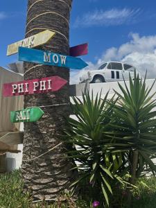 a pole with street signs on a palm tree at PAIISE Hotels in Sant Francesc de s'Estany
