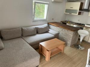 Posedenie v ubytovaní Apartman Vučemil