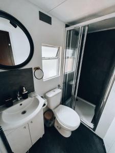uma casa de banho com um WC, um lavatório e um espelho. em Domki Parkowy em Kudowa-Zdrój
