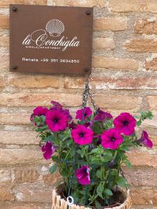 LA CONCHIGLIA - Sirolo Suite tanúsítványa, márkajelzése vagy díja