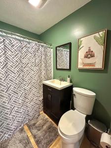 La salle de bains est pourvue de toilettes et d'un rideau de douche. dans l'établissement Jacuzzi, Game room and More! Close to Downtown!, à Ithaca
