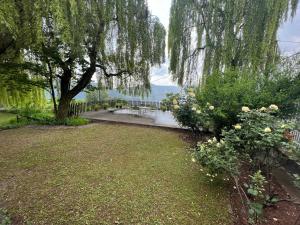 Fotografie z fotogalerie ubytování Mountain View Cottage Bhurban v destinaci Murree