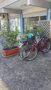 deux vélos garés devant un bâtiment dans l'établissement La Gazza, à Cervia