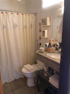 a bathroom with a shower curtain and a toilet and a sink at Body & Mind Beautiful - Suites Elegantes e Charmosas in Franca