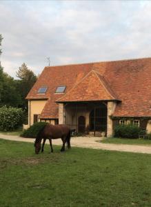 Animales en el hostal o pensión o alrededores 19 fotos más