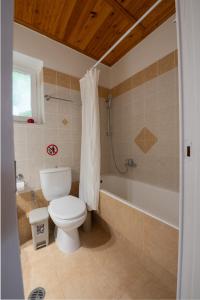 La salle de bains est pourvue de toilettes et d'une baignoire. dans l'établissement Country House Hortensia, à Spartos