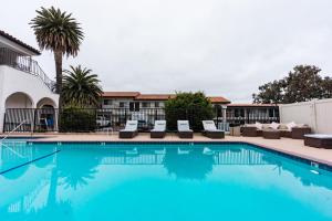 - une piscine avec des chaises longues et un palmier dans l'établissement Sands Inn & Suites, à San Luis Obispo