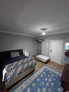 - une chambre avec 2 lits et un tapis dans l'établissement TRANSIT, à Istanbul