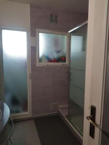 a bathroom with a glass shower and a window at Appartement près du lac d'Enghien les bains in Enghien-les-Bains