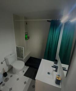 a bathroom with a toilet and a green shower curtain at Encantadora casa en el corazón de Estepona in Estepona +115 photos