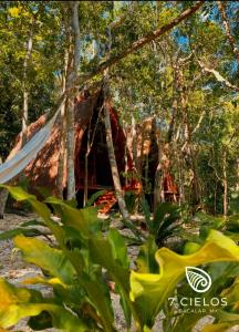 ein Haus im Wald mit einem Zelt in der Unterkunft 7 CIELOS BACALAR. in Bacalar