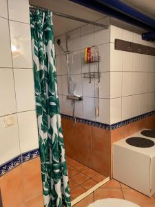 bagno con doccia e servizi igienici. di Limhamn city-ocean a Limhamn