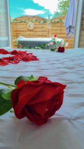 a red rose laying on top of a bed at Gite avec jacuzzi privé in Arnières-sur-Iton