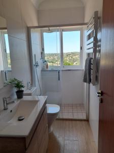 un bagno con wc, lavandino e doccia di Nova Quinta Moderna TORRAMO em Oliveiras, Campo de Laranjas, na Nacional 2, Alentejo 13750 m2 a Torrão