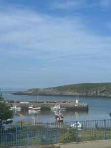 a group of boats are docked in a harbor at The Harbour Bar & Bistro in Cemaes Bay