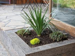 Ein Garten an der Unterkunft Boardinghouse Steinen