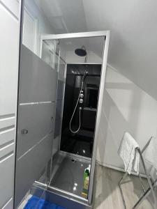a bathroom with a shower with a mirror at Chez Julie in Cepoy +10 photos