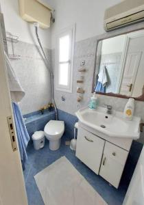 a bathroom with a sink and a toilet and a mirror at Amorgos Aegean Heaven in Amorgos +32 photos