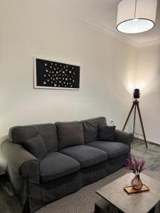 - un salon avec un canapé et une photo sur le mur dans l'établissement Central Elegant Flat, à Patras