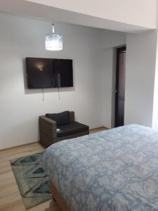 Μια τηλεόραση ή/και κέντρο ψυχαγωγίας στο Apartament Castelul Bran
