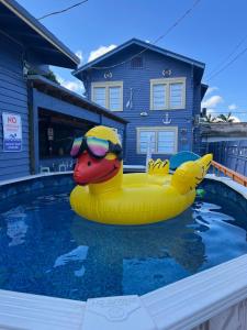 un pato amarillo de goma en una piscina en una casa en Blue Little Havana en Miami
