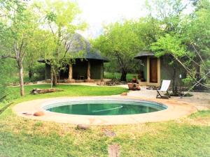 a small pool in the middle of a yard at Shikwari Nature Reserve in Hoedspruit