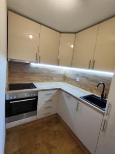 a kitchen with white cabinets and a sink and a stove at Appartement avec grande terrasse Loèche les Bains in Leukerbad +5 photos