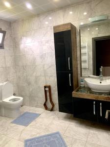 y baño con aseo, lavabo y espejo. en Zeni Villa - Fırtına Deresinde mükemmel konaklama, en Rize