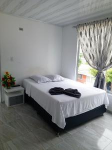 Φωτογραφία από το άλμπουμ του Hotel Casa del Turista σε Monterrey