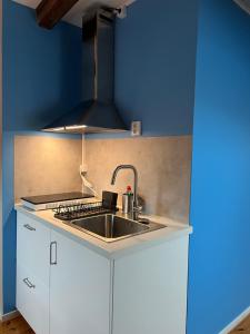 Cucina o angolo cottura di Apartments in the center of Ystad