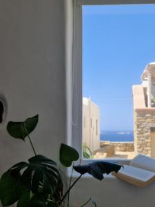 a plant in front of a window with a view at Levantes House Mykonos in Ano Mera
