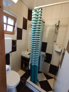 a bathroom with a toilet and a shower curtain at Aurora Tara 2 in Jezdići