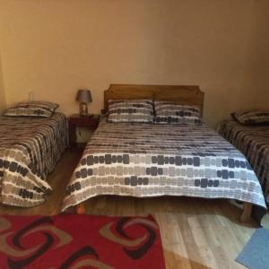 1 Schlafzimmer mit 2 Betten und einem Teppich in der Unterkunft Hotel Arauco Ovalle in Ovalle