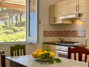 uma cozinha com uma tigela de limões numa mesa em Casa Zagami em Malfa